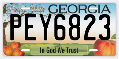 GA license plate PEY6823