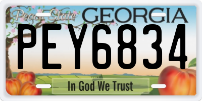 GA license plate PEY6834