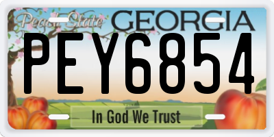 GA license plate PEY6854