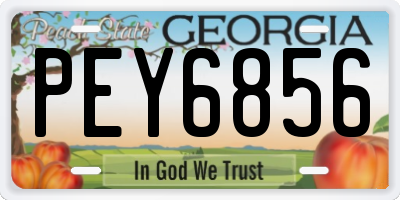 GA license plate PEY6856