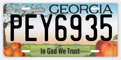 GA license plate PEY6935