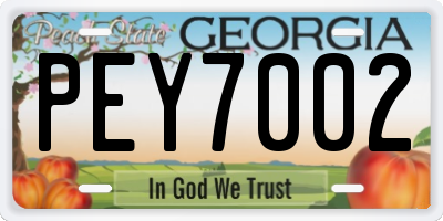GA license plate PEY7002