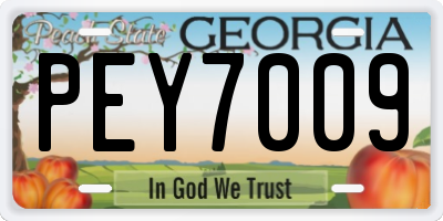 GA license plate PEY7009