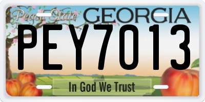 GA license plate PEY7013
