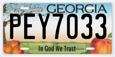 GA license plate PEY7033