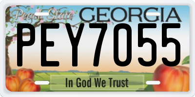 GA license plate PEY7055