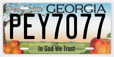 GA license plate PEY7077
