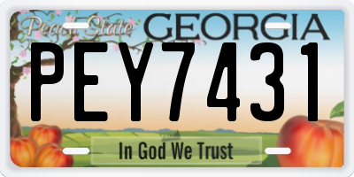 GA license plate PEY7431