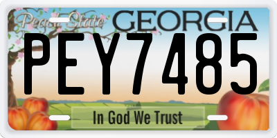 GA license plate PEY7485