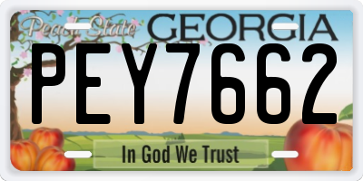 GA license plate PEY7662
