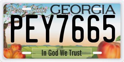 GA license plate PEY7665