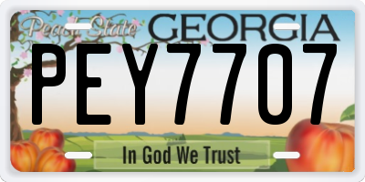 GA license plate PEY7707