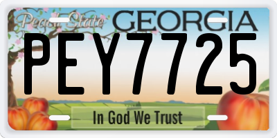 GA license plate PEY7725