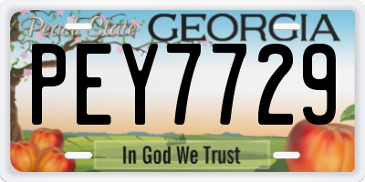 GA license plate PEY7729