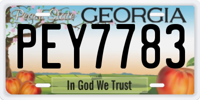 GA license plate PEY7783