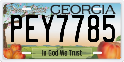 GA license plate PEY7785