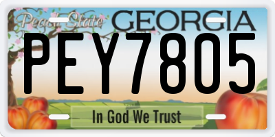 GA license plate PEY7805