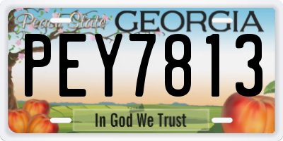 GA license plate PEY7813