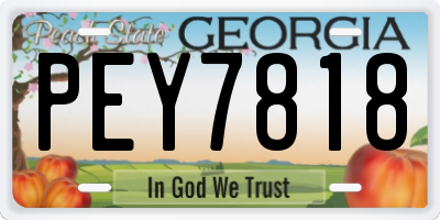 GA license plate PEY7818