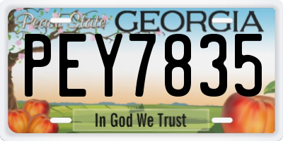 GA license plate PEY7835