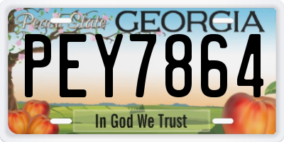 GA license plate PEY7864