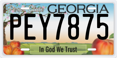 GA license plate PEY7875