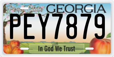 GA license plate PEY7879