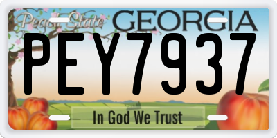 GA license plate PEY7937