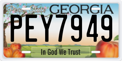 GA license plate PEY7949