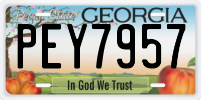 GA license plate PEY7957