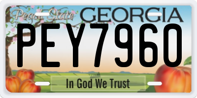 GA license plate PEY7960