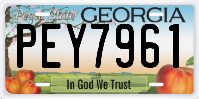 GA license plate PEY7961