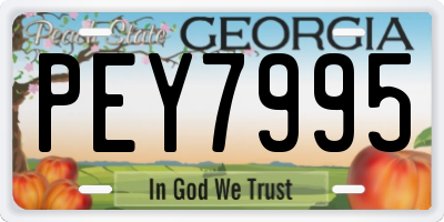 GA license plate PEY7995
