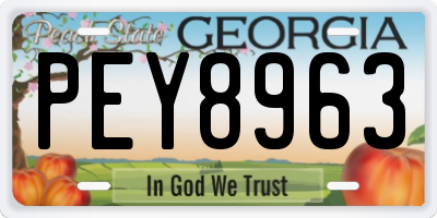 GA license plate PEY8963