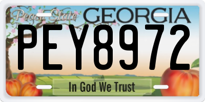 GA license plate PEY8972