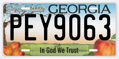 GA license plate PEY9063