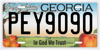 GA license plate PEY9090