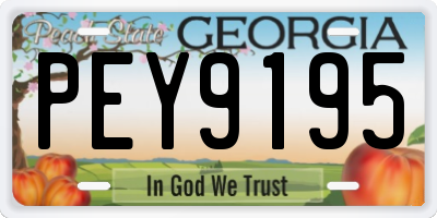 GA license plate PEY9195