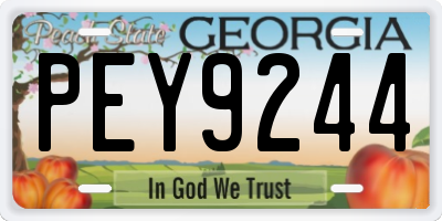 GA license plate PEY9244