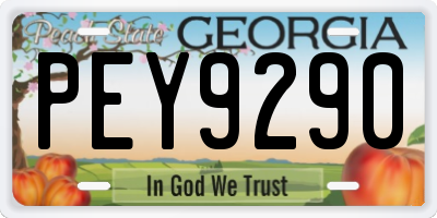 GA license plate PEY9290