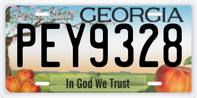 GA license plate PEY9328