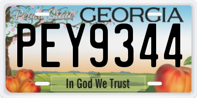 GA license plate PEY9344