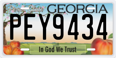GA license plate PEY9434