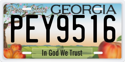 GA license plate PEY9516