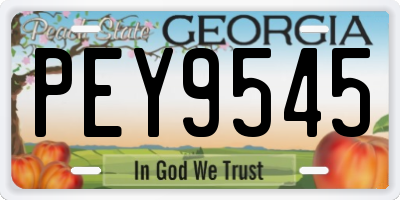 GA license plate PEY9545