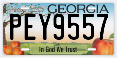 GA license plate PEY9557