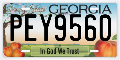 GA license plate PEY9560