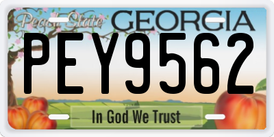 GA license plate PEY9562