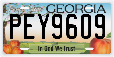 GA license plate PEY9609
