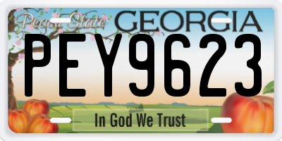 GA license plate PEY9623